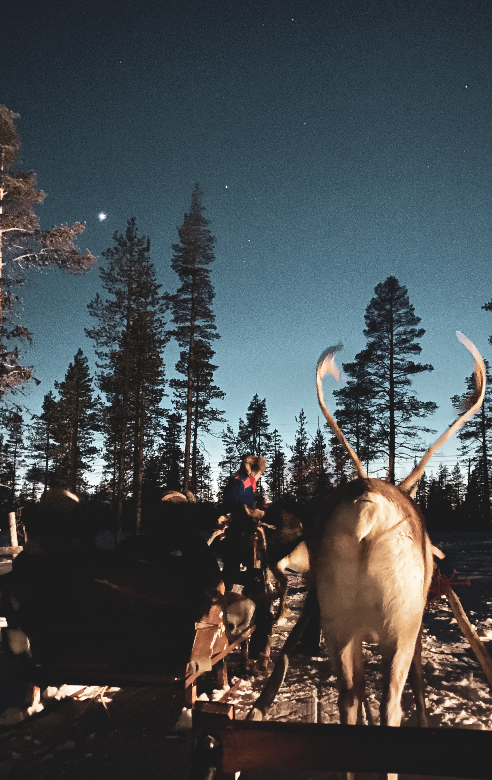 Apukka Resort, Rovaniemi